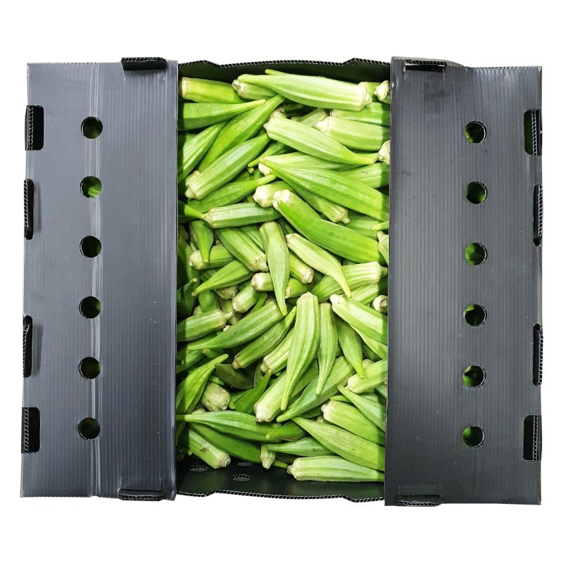 fruits-et-legumes-gombo-frais-senegal