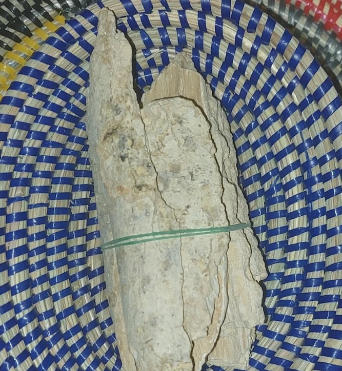 Ecorse de alidanké.