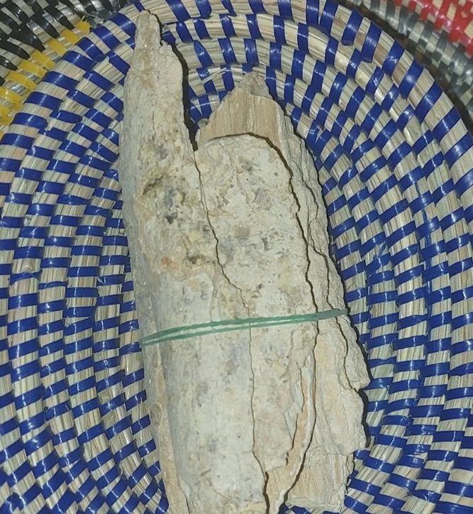 Ecorse de alidanké.